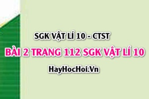 Giải bài 2 trang 112 SGK Vật lí 10 Chân trời sáng tạo